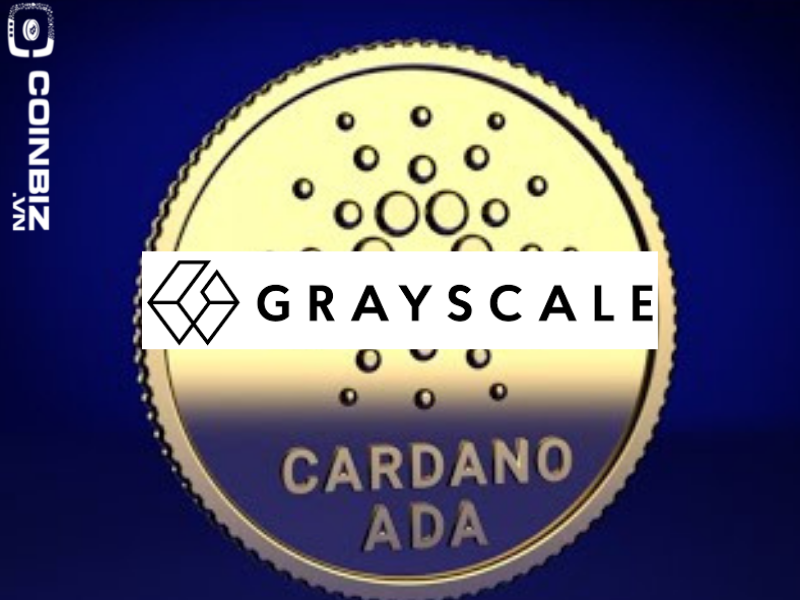 Grayscale mua Cardano:ADA nắm giữ lớn thứ ba của quỹ