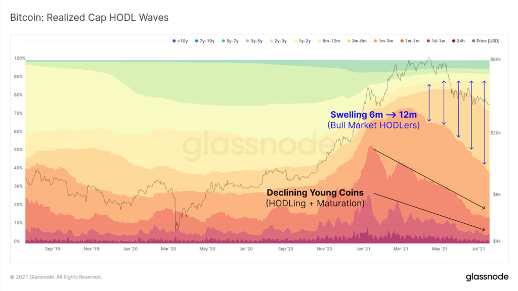 Realised Cap HODL waves Chart