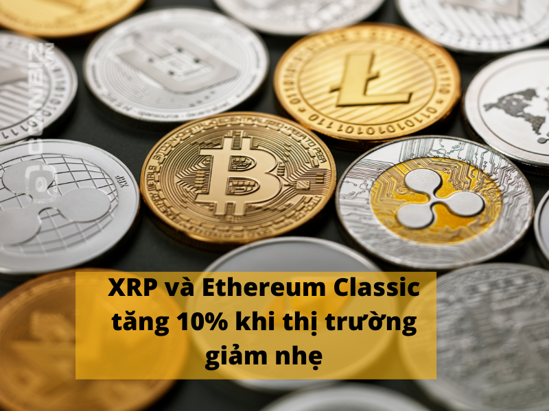 XRP và Ethereum Classic đều tăng 10% vào hôm nay, mặc dù giá trị vốn hóa thị trường toàn cầu của tiền điện tử đã giảm 0,52%.