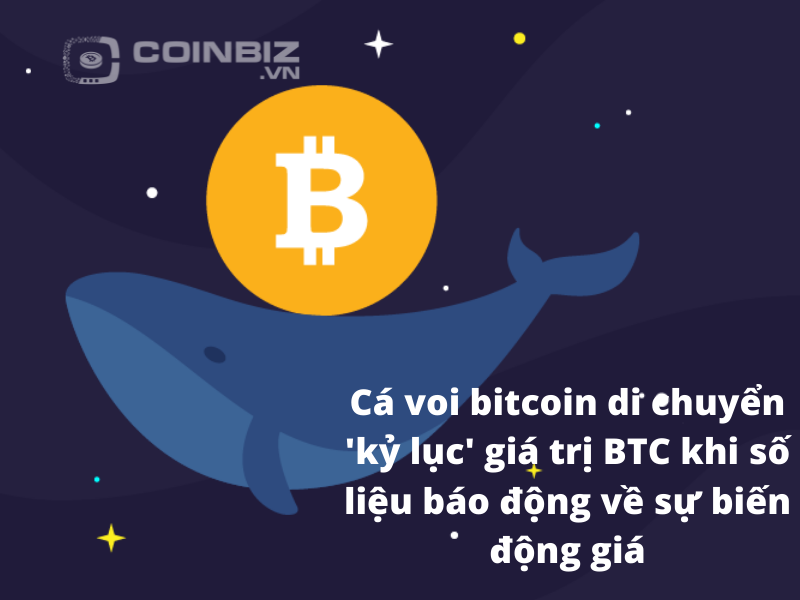 Cá voi bitcoin di chuyển 'kỷ lục' giá trị BTC khi số liệu báo động về sự biến động giá